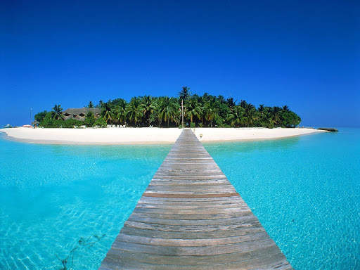 Tropical Wallpaper screenshot 5