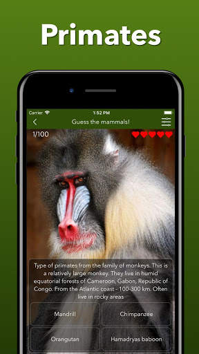 Animals Quiz - Learn All Mammals, Birds and more! screenshot 6