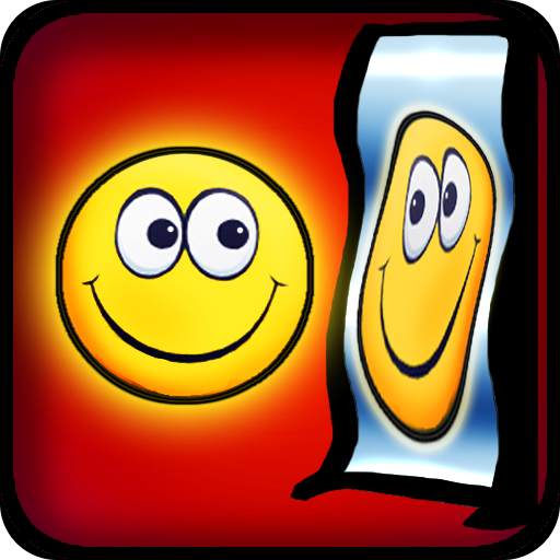 Funny Mirror Free 1.16