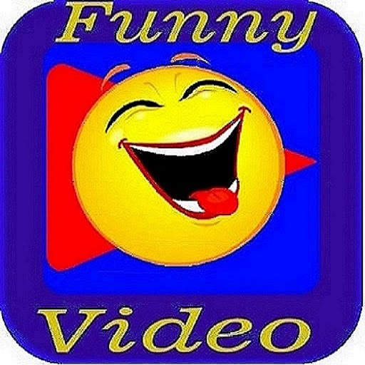 Funny videos screenshot 1