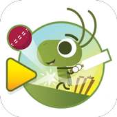 Doodle Cricket 2018 logo