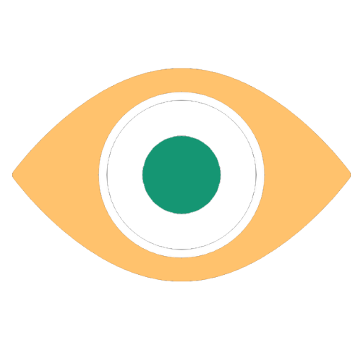video surveillance icon