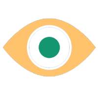 video surveillance