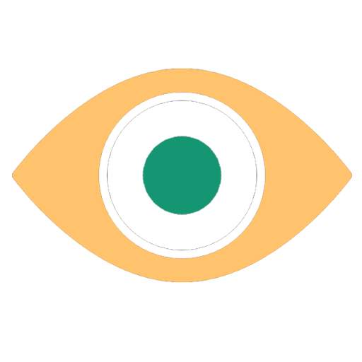video surveillance 1.0