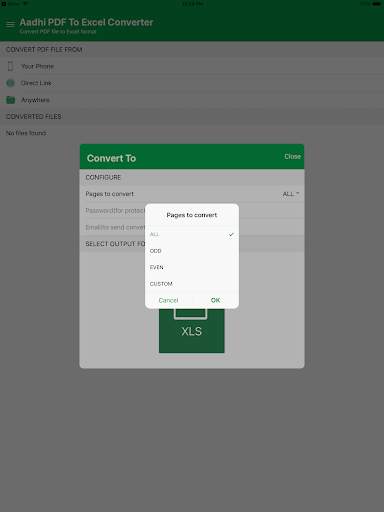 Aadhi PDF To Excel Converter screenshot 7