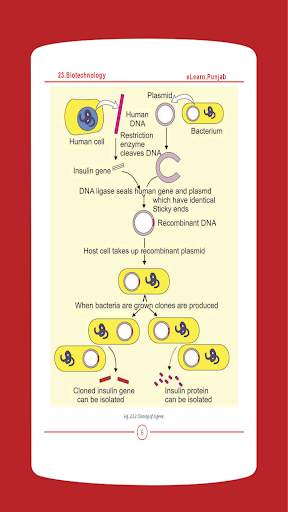 Biology 12 Punjab Textbook (Offline) screenshot 8