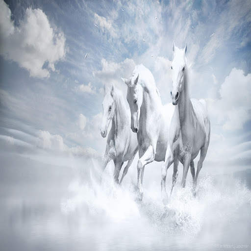 Horse Racing Latest News screenshot 26
