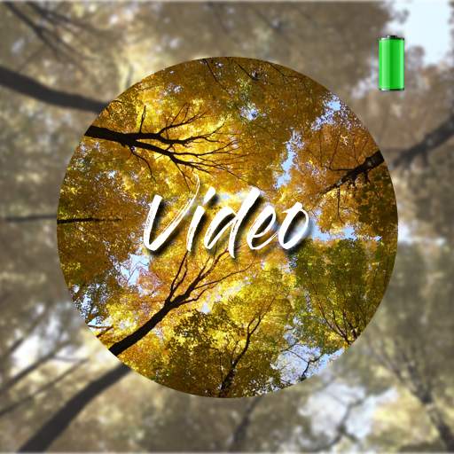 Forest Video Wallpapers 0.0.2