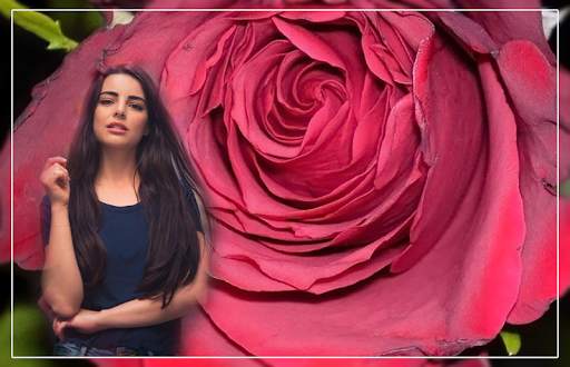 Macro Rose Overlay Effect - Rose Photo Frames HD screenshot 2
