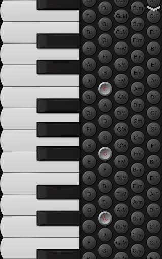 Piano Accordion screenshot 2