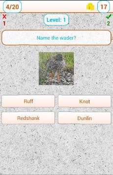 Bird image quiz screenshot 6