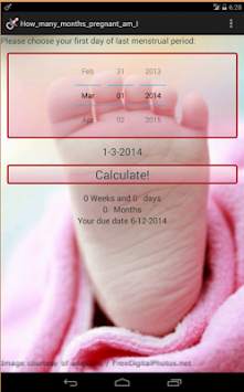 How many months pregnant am i screenshot 1