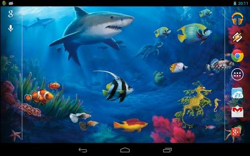 Interactive Shark screenshot 5