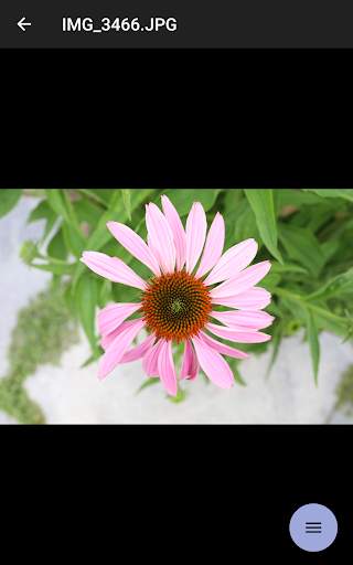 Camera Connect screenshot 3