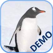 Animal puzzles for kids (lite) 1.0