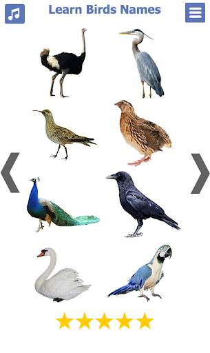 Birds name in English स्क्रीनशॉट 7