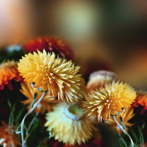 Autumn Flowers Live Wallpaper 1.0.8
