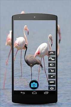 Pro HD Camera screenshot 2