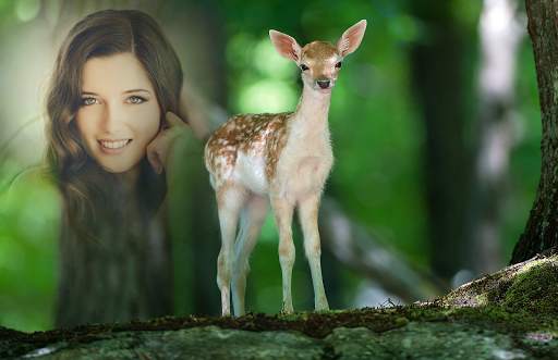 Wild Animal Photo Frames screenshot 2