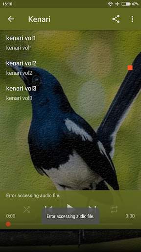 Masteran Semua Jenis Burung Offline screenshot 4