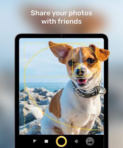Golden Ratio Camera screenshot 8