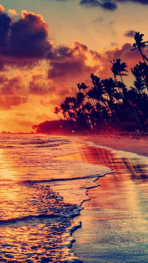 Beach Video Live Wallpaper screenshot 6