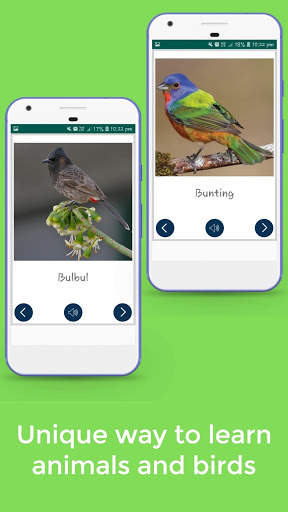 Animals and Birds स्क्रीनशॉट 5