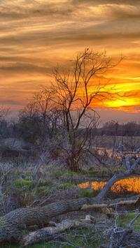 Coolpad Note 3 Wallpapers screenshot 5