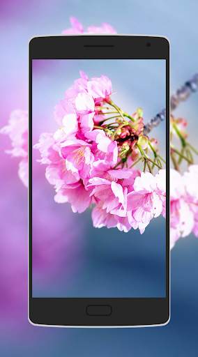 Flower Wallpaper screenshot 7