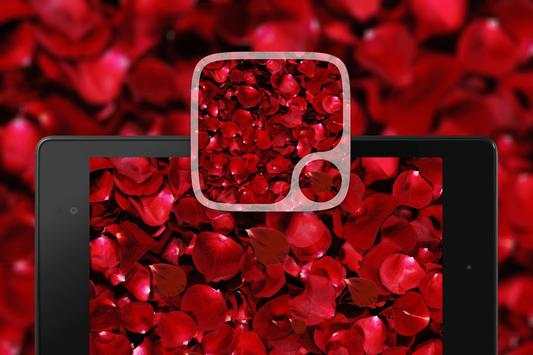 Red rose Petals Wallpaper screenshot 8