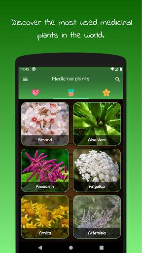 myRemedy: Medicinal plants and their uses screenshot 1