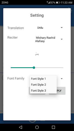 Surah Yasin Mp3 - Surah Yaseen screenshot 3