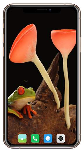 HD Mushroom Wallpaper screenshot 2