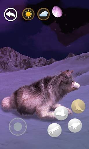 Talking Wolf screenshot 4