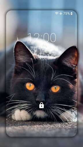 Black Cat Wallpaper Full HD (backgrounds & themes) screenshot 5
