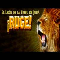 El leon de Juda
