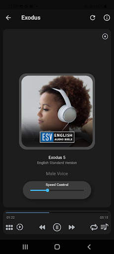 English Audio Bible: ESV screenshot 22