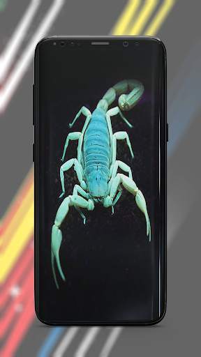 Amoled Wallpaper screenshot 8