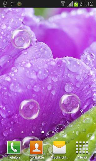 Tulips live wallpaper screenshot 4