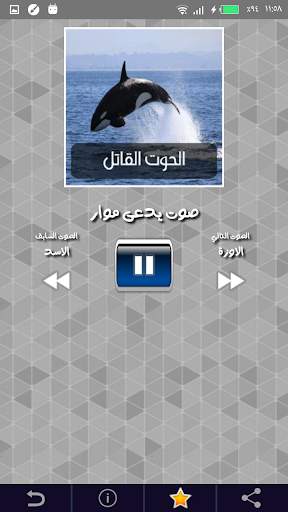أصوات الحيوانات مع إسم كل صوت باللغة العربية screenshot 5