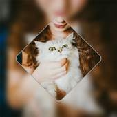 Picture Art 3.1.0