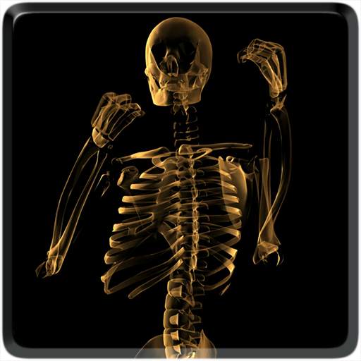 Skeleton Video Live Wallpaper 2.0