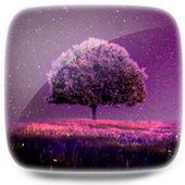 Star Sky Live Wallpaper icon