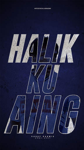 Bobotoh Persib Wallpaper screenshot 7