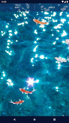 Fish 4K HD Koi Live Pond 3D screenshot 4