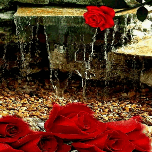 Rose Waterfall Live Wallpaper иконка
