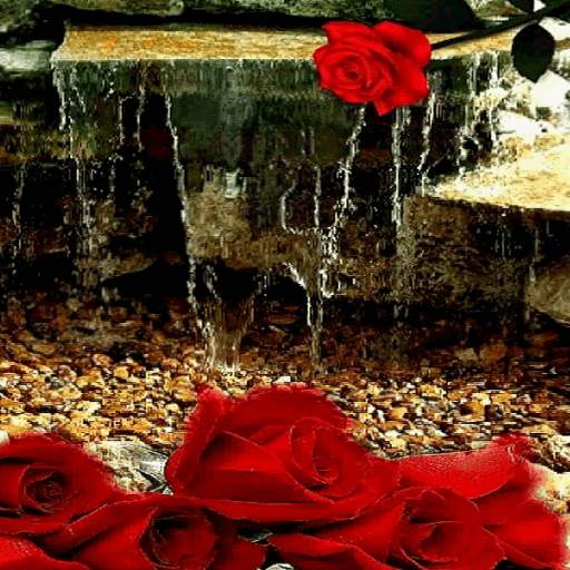 Rose Waterfall Live Wallpaper 3