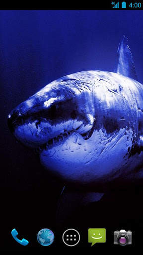 Shark Wallpapers screenshot 2