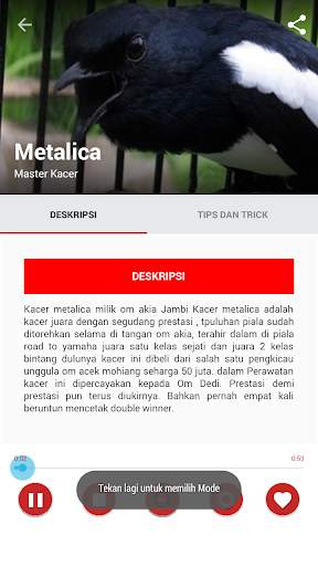 Suara Burung Kacer Juara screenshot 4