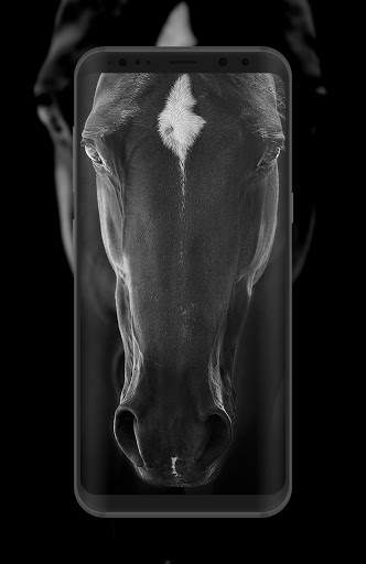 Horse Wallpaper HD Offline screenshot 1